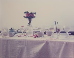 Joel Meyerowitz - The Table
