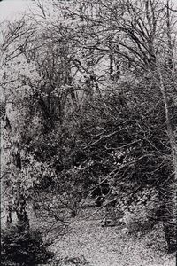 Willy Ronis : Les habits noirs de Willy Ronis  - Asta Fotografia - Associazione Nazionale - Case d'Asta italiane