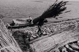 Gianni Berengo Gardin - Senza titolo