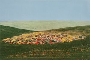 Franco Fontana - Landscape