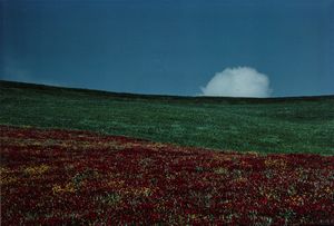 Franco Fontana - Paesaggio
