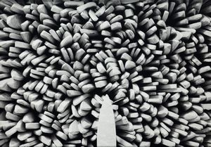 MARIO CRESCI - Pietre Coti