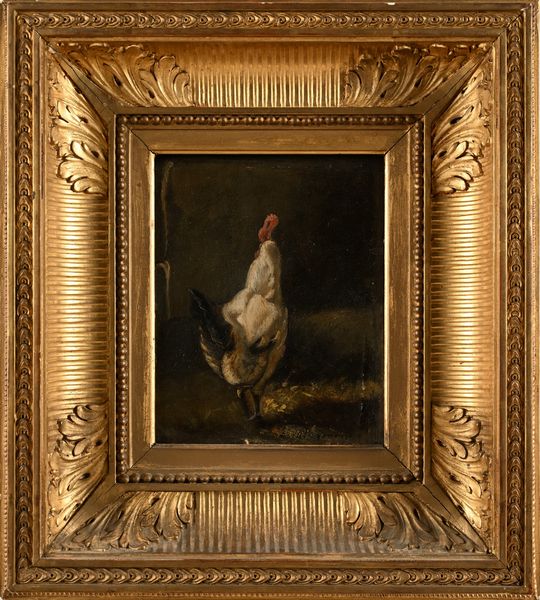 Cimino di Valenzano (Scuola francese del XIX secolo) : Coppia di dipinti raffigurante galli  - Asta Dipinti del XIX e XX secolo - Associazione Nazionale - Case d'Asta italiane