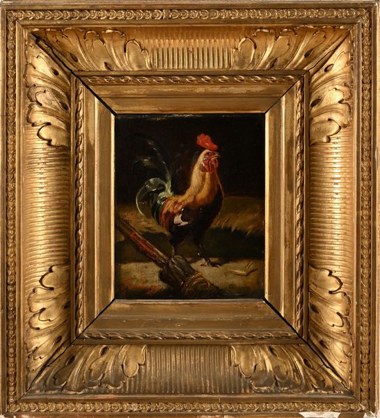Cimino di Valenzano (Scuola francese del XIX secolo) : Coppia di dipinti raffigurante galli  - Asta Dipinti del XIX e XX secolo - Associazione Nazionale - Case d'Asta italiane