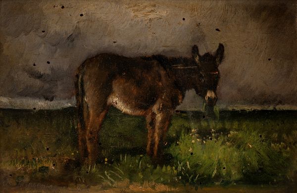 Scuola francese del XIX secolo : Asino che bruca in un paesaggio di campagna  - Asta Dipinti del XIX e XX secolo - Associazione Nazionale - Case d'Asta italiane