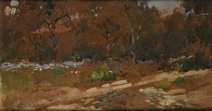 Umberto Coromaldi - Il sentiero nel bosco