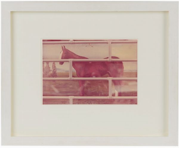 Luigi Ghirri : Kodachrome  - Asta Photographs from important european collections - Associazione Nazionale - Case d'Asta italiane