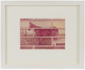 Luigi Ghirri - Kodachrome