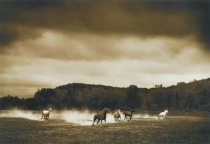 MICHAEL EASTMAN - Horses #296