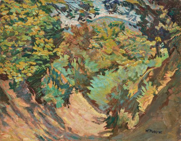 Mario Puccini : Sentiero nel bosco  - Asta Dipinti e Sculture del XIX e XX secolo - Associazione Nazionale - Case d'Asta italiane
