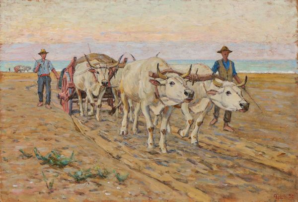 Luigi Gioli : Carro con buoi sul mare  - Asta Dipinti e Sculture del XIX e XX secolo - Associazione Nazionale - Case d'Asta italiane