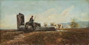 Ferruccio Rontini - La fonte