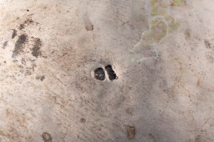 Centrotavola  - Asta Argenti Antichi e da Collezione - Associazione Nazionale - Case d'Asta italiane