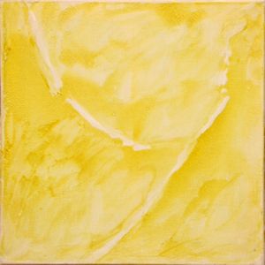 VINCENZO CECCHINI - Fior per prima l'et dell'oro