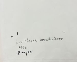 Roberto Sebastián Antonio MATTA ECHAURREN : Les fleurs avant l'aube  - Asta Arte Moderna e Contemporanea - Associazione Nazionale - Case d'Asta italiane