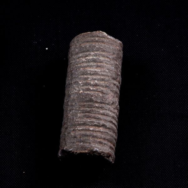 Mosasauro sp. Pezzi fossili. <BR>Due denti senza radica, una rdice di dente, una vertebra. <BR>(cretacico 145-66 milioni di anni)<BR>  - Asta Antiquariato - Associazione Nazionale - Case d'Asta italiane