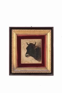 Giuseppe Raggio - Testa di toro