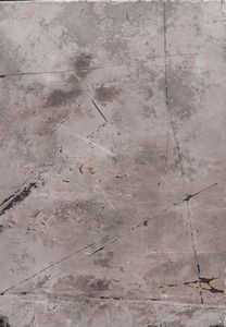 Impressionante lastra con Keichosauro del periodo Triassico  - Asta Antiquariato - Associazione Nazionale - Case d'Asta italiane