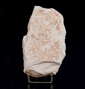 Due dettagliate lastre con pesci fossili  - Asta Antiquariato - Associazione Nazionale - Case d'Asta italiane