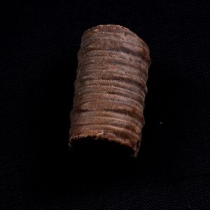 Mosasauro sp. Pezzi fossili. <BR>Due denti senza radica, una rdice di dente, una vertebra. <BR>(cretacico 145-66 milioni di anni)<BR>  - Asta Antiquariato - Associazione Nazionale - Case d'Asta italiane