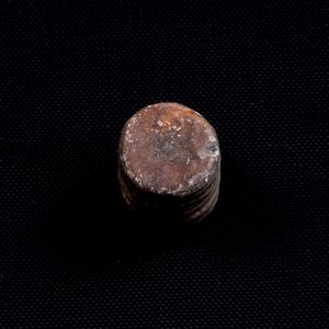 Mosasauro sp. Pezzi fossili. <BR>Due denti senza radica, una rdice di dente, una vertebra. <BR>(cretacico 145-66 milioni di anni)<BR>  - Asta Antiquariato - Associazione Nazionale - Case d'Asta italiane