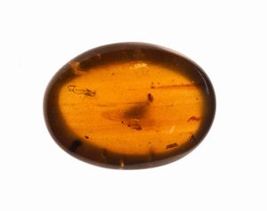 Tre pezzi di ambra Birmana (Myanmar), due con inclusioni di Nematocera (moscerino) e uno con inclusioni di Coleoptera (coleottero)  - Asta Antiquariato - Associazione Nazionale - Case d'Asta italiane