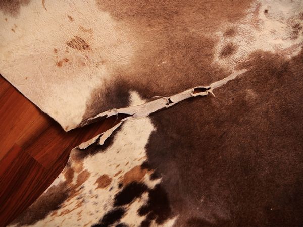 Pelle di mucca  - Asta La casa moderna - Associazione Nazionale - Case d'Asta italiane