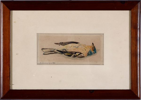 Oscar Saccorotti : Uccellino  - Asta Dipinti del XIX-XX Secolo - Associazione Nazionale - Case d'Asta italiane