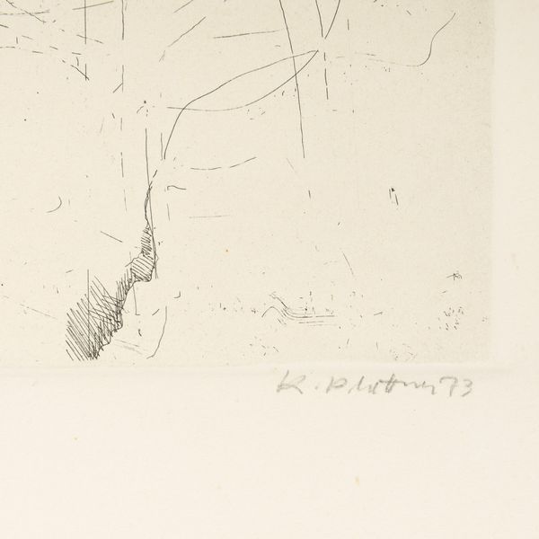 Karl Plattner : Senza titolo  - Asta Selected Prints - Associazione Nazionale - Case d'Asta italiane