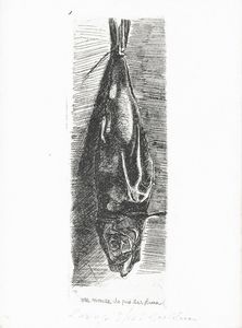 Luigi Bartolini - Laringa