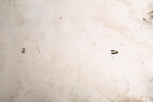 Centrotavola e bacile  - Asta Argenti del XX Secolo - Associazione Nazionale - Case d'Asta italiane