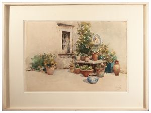 Vincenzo Irolli - Piante in cortile