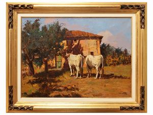 Angiolo Volpe - Buoi al sole