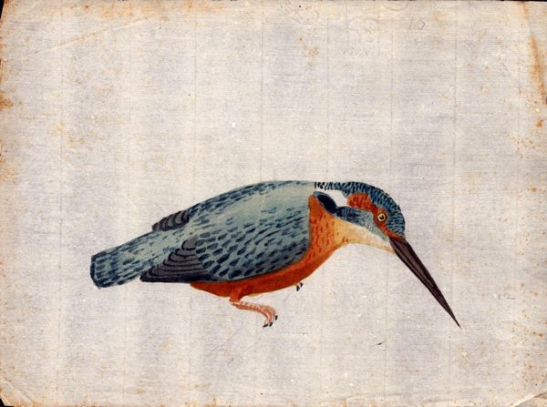 Sei fogli con studi di diversi uccelli  - Asta Stampe e Disegni dal XVI al XX secolo - Associazione Nazionale - Case d'Asta italiane