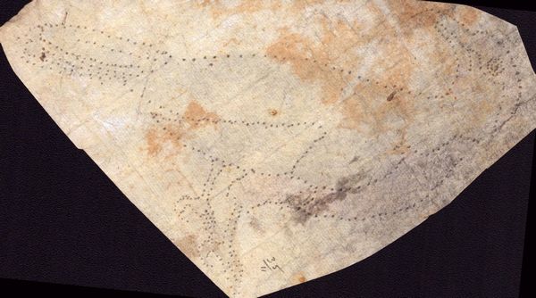 Sei fogli con studi di diversi uccelli  - Asta Stampe e Disegni dal XVI al XX secolo - Associazione Nazionale - Case d'Asta italiane