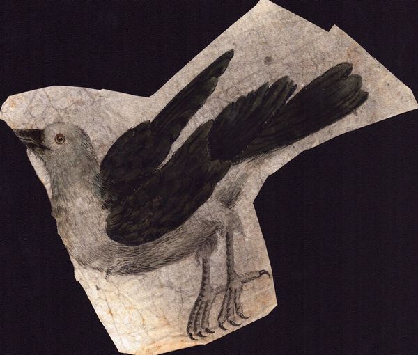 Sei fogli con studi di diversi uccelli  - Asta Stampe e Disegni dal XVI al XX secolo - Associazione Nazionale - Case d'Asta italiane