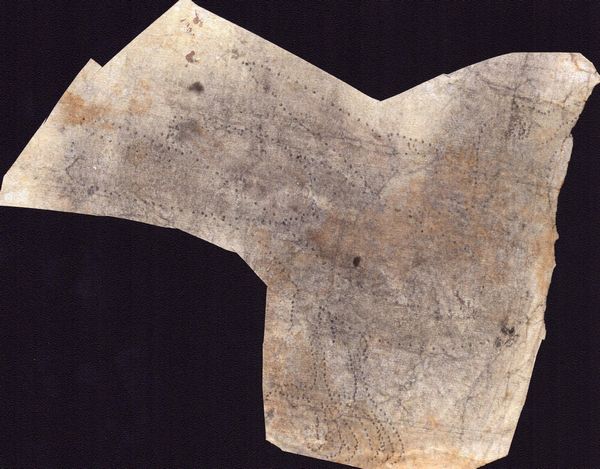 Sei fogli con studi di diversi uccelli  - Asta Stampe e Disegni dal XVI al XX secolo - Associazione Nazionale - Case d'Asta italiane