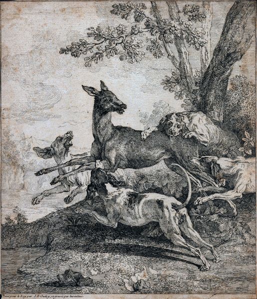 Jean Baptiste Oudry : Caccia al cervo  - Asta Stampe e Disegni dal XVI al XX secolo - Associazione Nazionale - Case d'Asta italiane