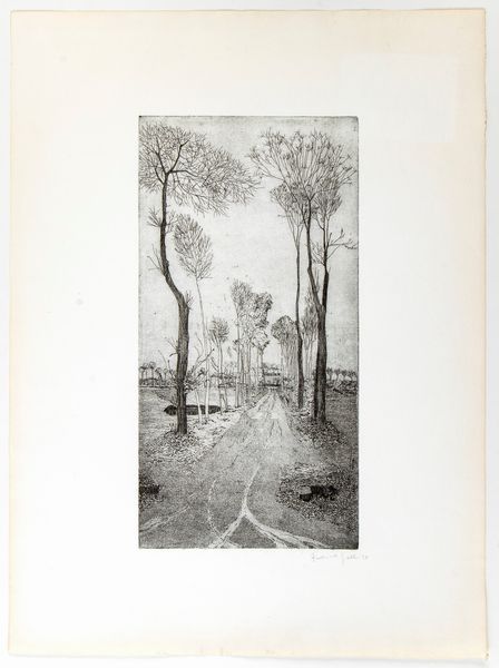 FEDERICA GALLI : Strada alberata  - Asta Stampe e Disegni dal XVI al XX secolo - Associazione Nazionale - Case d'Asta italiane