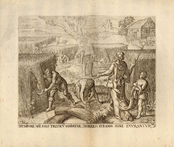 Pieter Jalhea Furnius : La parabola della Zizzania (Matteo 24-30)  - Asta Stampe e Disegni dal XVI al XX secolo - Associazione Nazionale - Case d'Asta italiane