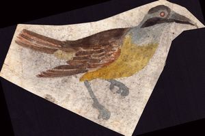 Sei fogli con studi di diversi uccelli  - Asta Stampe e Disegni dal XVI al XX secolo - Associazione Nazionale - Case d'Asta italiane