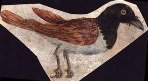 Sei fogli con studi di diversi uccelli  - Asta Stampe e Disegni dal XVI al XX secolo - Associazione Nazionale - Case d'Asta italiane