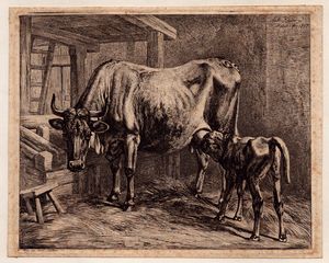 Johann Adam Klein - Mucca che allatta un vitello