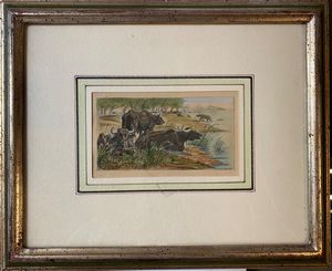 Everet van Muyden : Agro romano  - Asta Stampe e Disegni dal XVI al XX secolo - Associazione Nazionale - Case d'Asta italiane