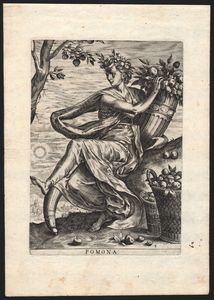 Monogrammista A : Flora - Pomona  - Asta Stampe e Disegni dal XVI al XX secolo - Associazione Nazionale - Case d'Asta italiane