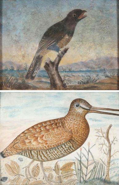 Octavianus Monfort (attivo in Piemonte nel XVII secolo) : Soggetti naturalistici con volatili  - Asta Dipinti Antichi - Associazione Nazionale - Case d'Asta italiane