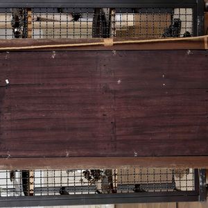 Artista del XIX secolo Figure di amorini con ghirlande i fiori  - Asta Dipinti Antichi - Associazione Nazionale - Case d'Asta italiane