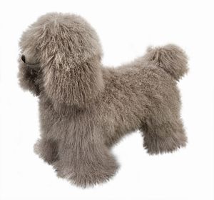 Samuele  Mazza : Klipper - Pouf Cane  - Asta Love Design 2025 / Charity Auction a favore di Fondazione AIRC - Associazione Nazionale - Case d'Asta italiane