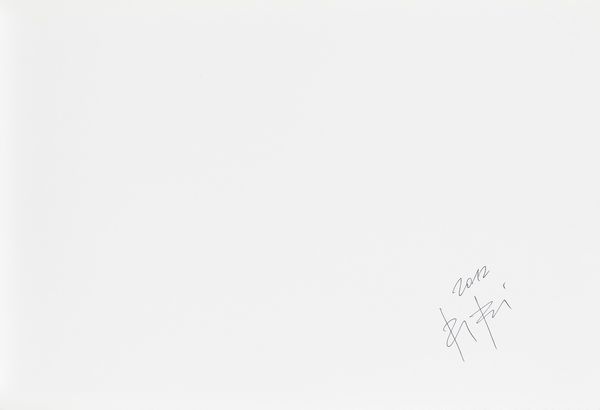 Riccardo Bagnoli : Senza titolo  - Asta Fotografia - Associazione Nazionale - Case d'Asta italiane