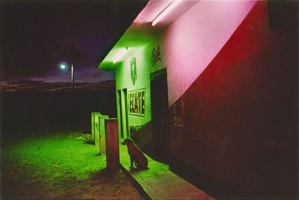 Alex Webb : Comitan, Mexico  - Asta Fotografia - Associazione Nazionale - Case d'Asta italiane